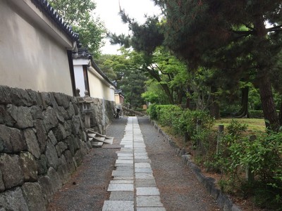 IMG_6212 - コピー.JPG