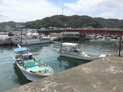 IMG_7081.jpg