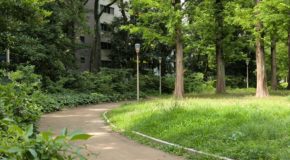 ロケ出張撮影　in 大阪　