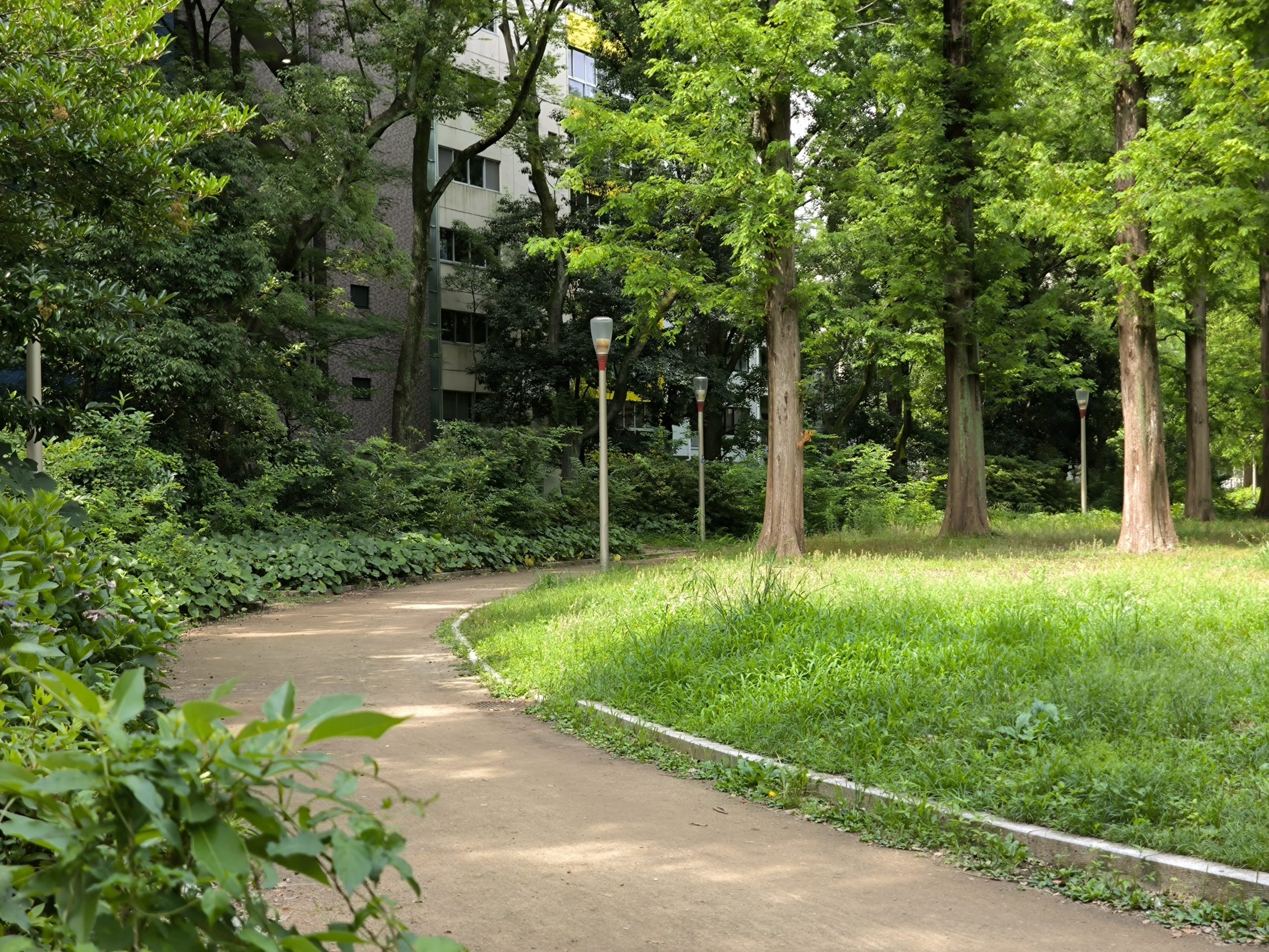 【ロケ撮影】役員様のポートレート撮影 in 大阪　
